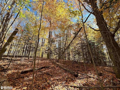 3077 Phelps Lake Rd, Mayville, MI 48744 - photo 4