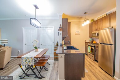 12945 Centre Park Cir unit 214, Herndon, VA 20171 - photo 6