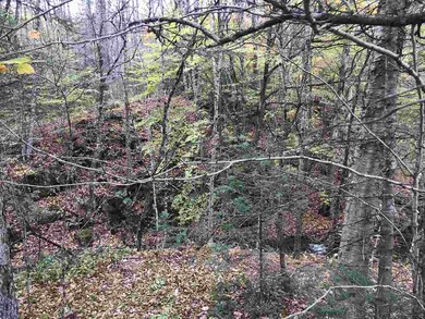 00 Mud Hollow Rd, Kirby, VT 05851 - photo 2