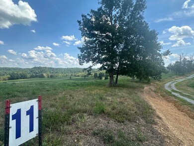 Tract 11 Eagle Landing Rd, London, KY 40741 - photo 7