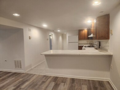2316 W Polk St unit 1, Chicago, IL 60612 - photo 6