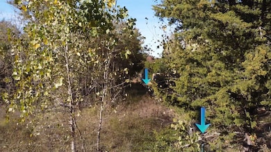 1439 Cedar Mills Rd, Gordonville, TX 76245 - photo 5