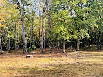 6343 Bradley Rd, Wetumpka, AL 36092 - photo 5