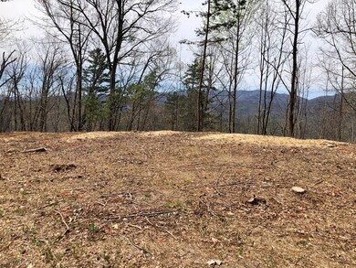 View From Build Site