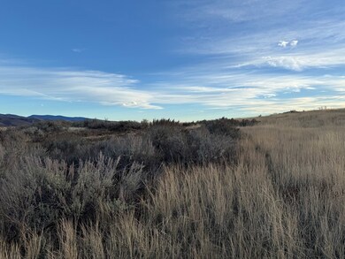 32 AC Deer Loop, Council, ID 83612 - photo 6