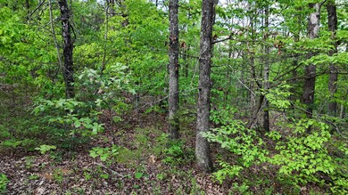 DJI_20240501170131_0315_D