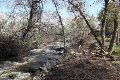460 NE 4th St, Cedaredge, CO 81413 - photo 5