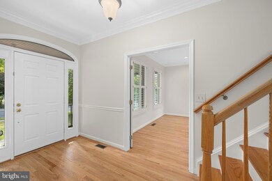 3211 Mccomas Ave, Kensington, MD 20895 - photo 6