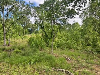 View of local wilderness featuring a wooded view