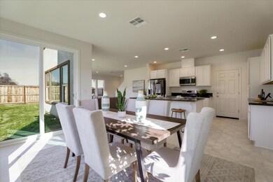 21051 Pinot Noir Dr, Patterson, CA 95363 - photo 7