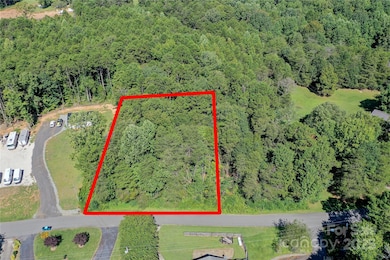 6960 Navajo Trail, Lake Norman of Catawba, NC 28673 - photo 3