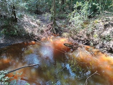 2905 County Road 441, Magnolia Springs, TX 75956 - photo 2