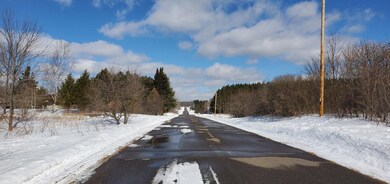 ON Price Polar Rd unit 20 Acres, Bryant, WI 54418 - photo 6