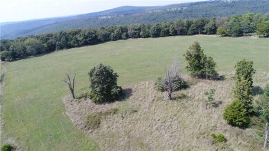 TBD Heflin Thomas Farm Rd, West Fork, AR 72774 - photo 2