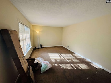 4920 Rugby Rd, Columbia, SC 29203 - photo 2