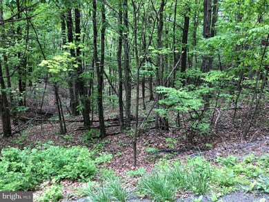 TBD Clark Rd, Basye, VA 22810 - photo 3