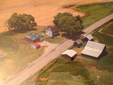 McNichols pic newer