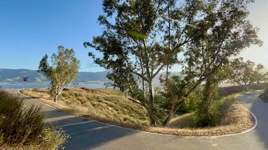 0 Sky Line unit PTP2508736, Lake Elsinore, CA 92530 - photo 4