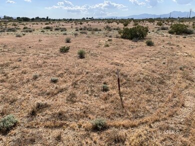 509-090-30 Bowman Rd, Ridgecrest, CA 93555 - photo 7
