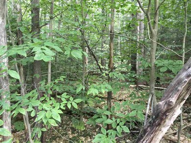 0 Jones Rd unit 4655497, Effingham, NH 03882 - photo 3