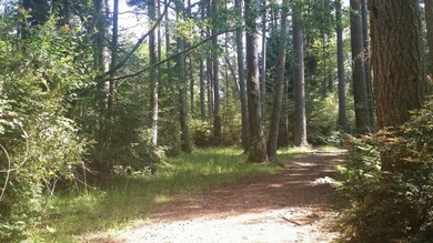 9910 Steffensen Rd, Anderson Island, WA 98303 - photo 3