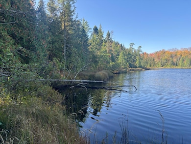 8103W Runyard Rd, Knight, WI 54534 - photo 5