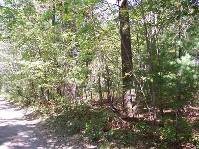 30 Brewer St, Worcester, MA 01609 - photo 2