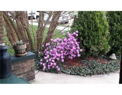 Exterior Front. No need to replant each year.  You