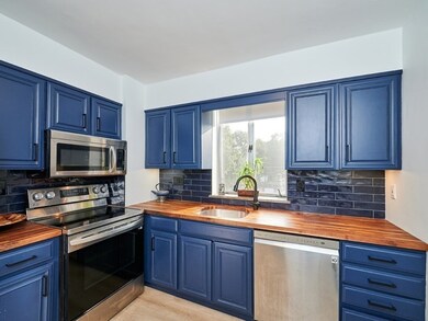 Hammond Park Condominiums unit 204, Chestnut Hill, MA 02467 - photo 2