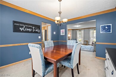 8447 Forest View Dr, Olmsted Falls, OH 44138 - photo 7