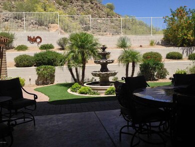 Lovely Back Yard