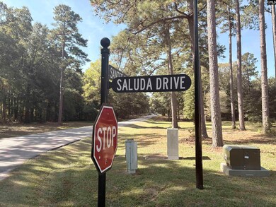 00 Saluda Dr, Santee, SC 29142 - photo 5