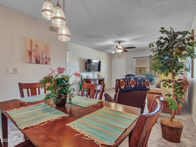 10859 W Santa fe Dr unit 6, Sun City, AZ 85351 - photo 7