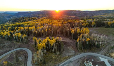 DJI_0079