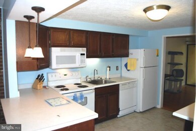 9602 Basket Ring Rd, Columbia, MD 21045 - photo 4