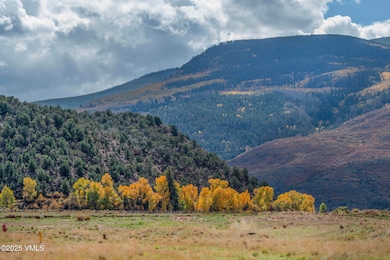 15 Doll Station, Gypsum, CO 81637 - photo 3