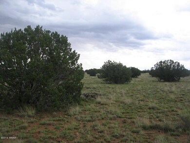 Simon 40 Acres 011
