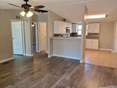 22731 Hickory Shadow, Elmendorf, TX 78112 - photo 4