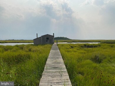 3313 Marsh Rd, Ewell, MD 21824 - photo 5