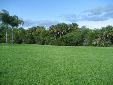 View of Double Lots