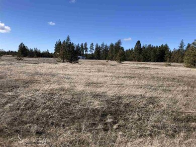 0 W State Route 904 Hwy unit 201811286, Cheney, WA 99004 - photo 3