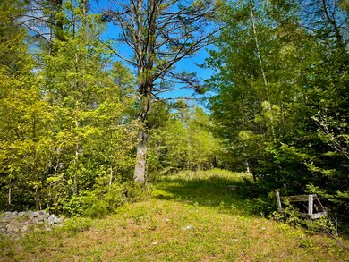 IMG-0736