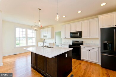 302 Craig Dr, Stephens City, VA 22655 - photo 4