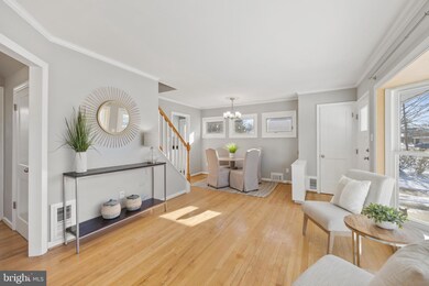 6727 Quander Rd, Alexandria, VA 22307 - photo 6