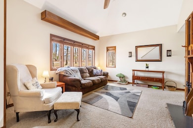 1541 S Wild Oaks Dr, Nixa, MO 65714 - photo 6