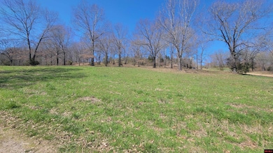 490-00001-008 Fox Chase Dr, Flippin, AR 72634 - photo 2