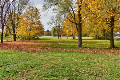 DSC_3007