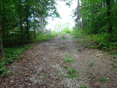 141 Jeremiah Rd, Cookeville, TN 38506 - photo 6