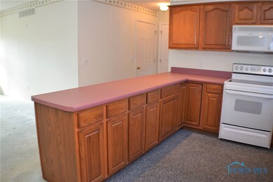 100 Lavine St, Woodville, OH 43469 - photo 6