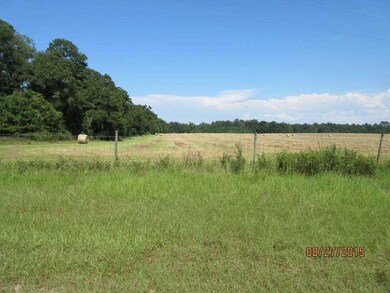 0 Graham Trail unit 261105, Crawfordville, FL 32327 - photo 3